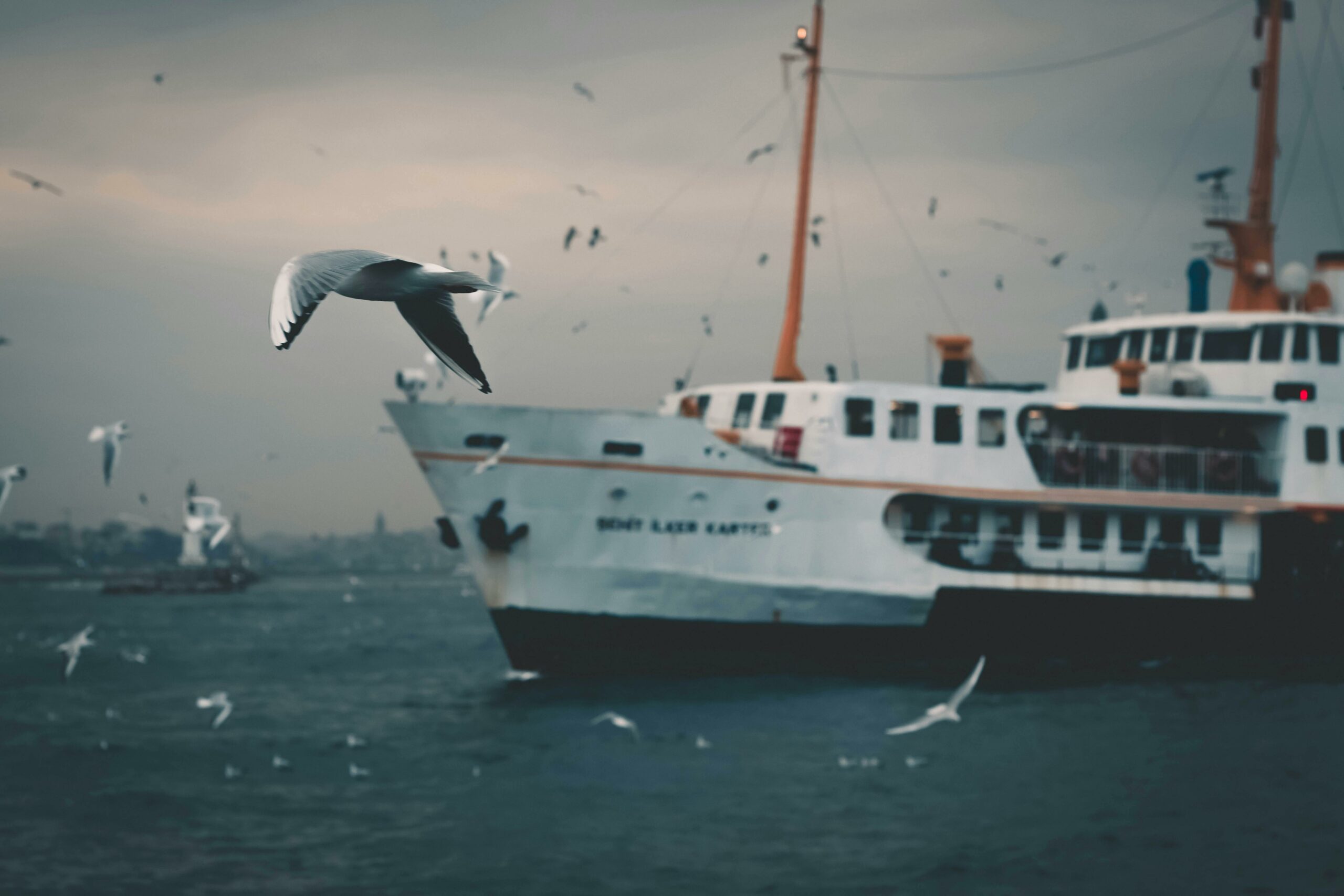 pexels-leventsimsek-3617212